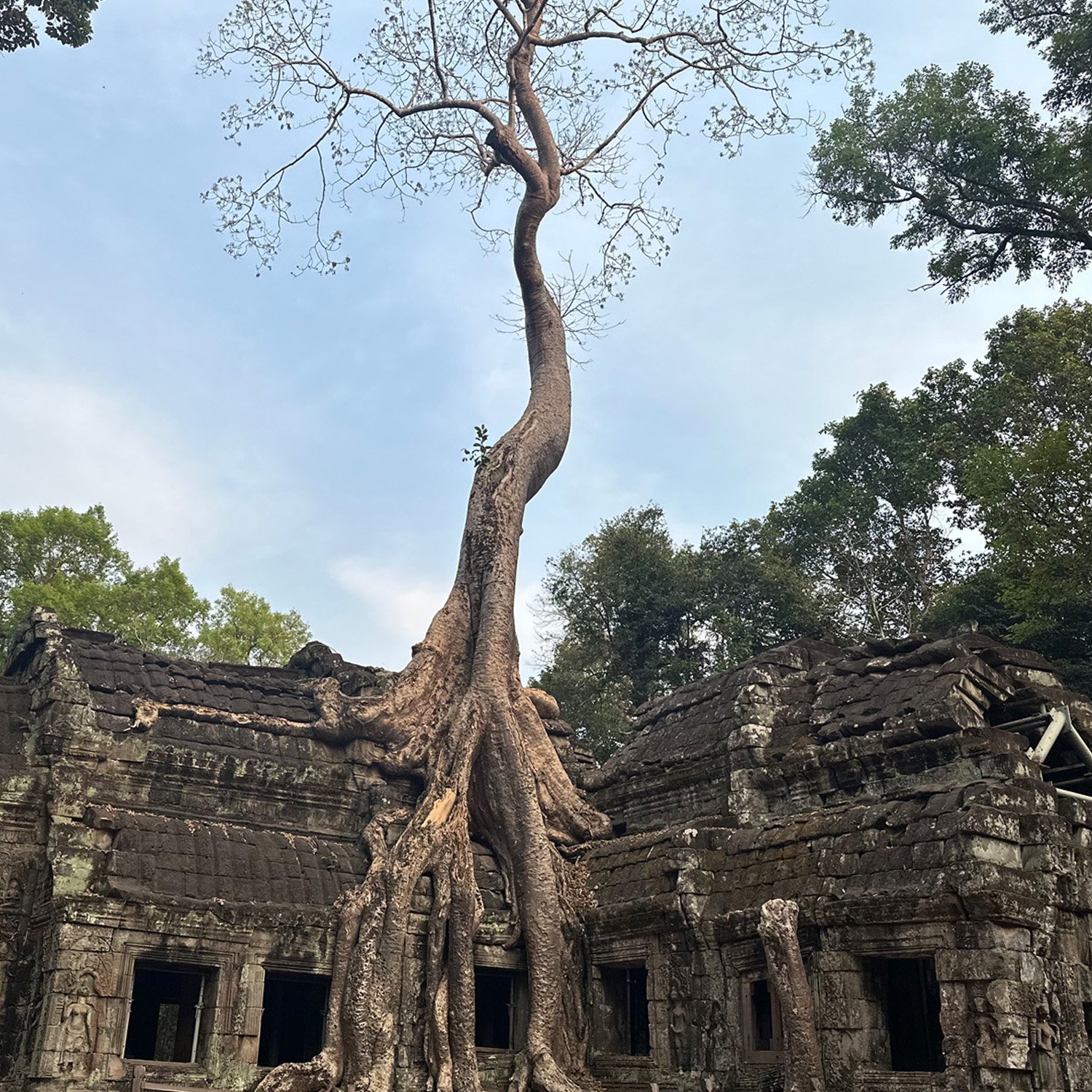 Ta Prohm