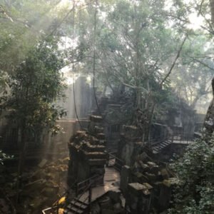 Beng Mealea Private Tour: Hidden Jungle Ruins