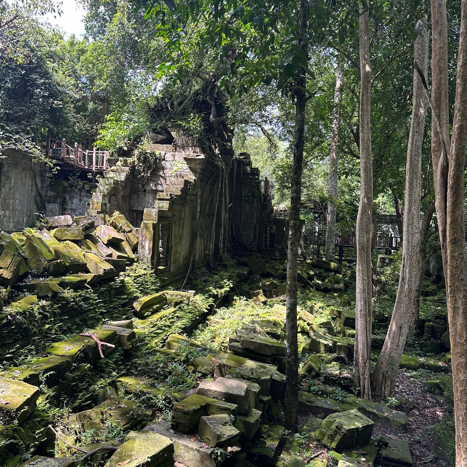 Beng Mealea Ruins