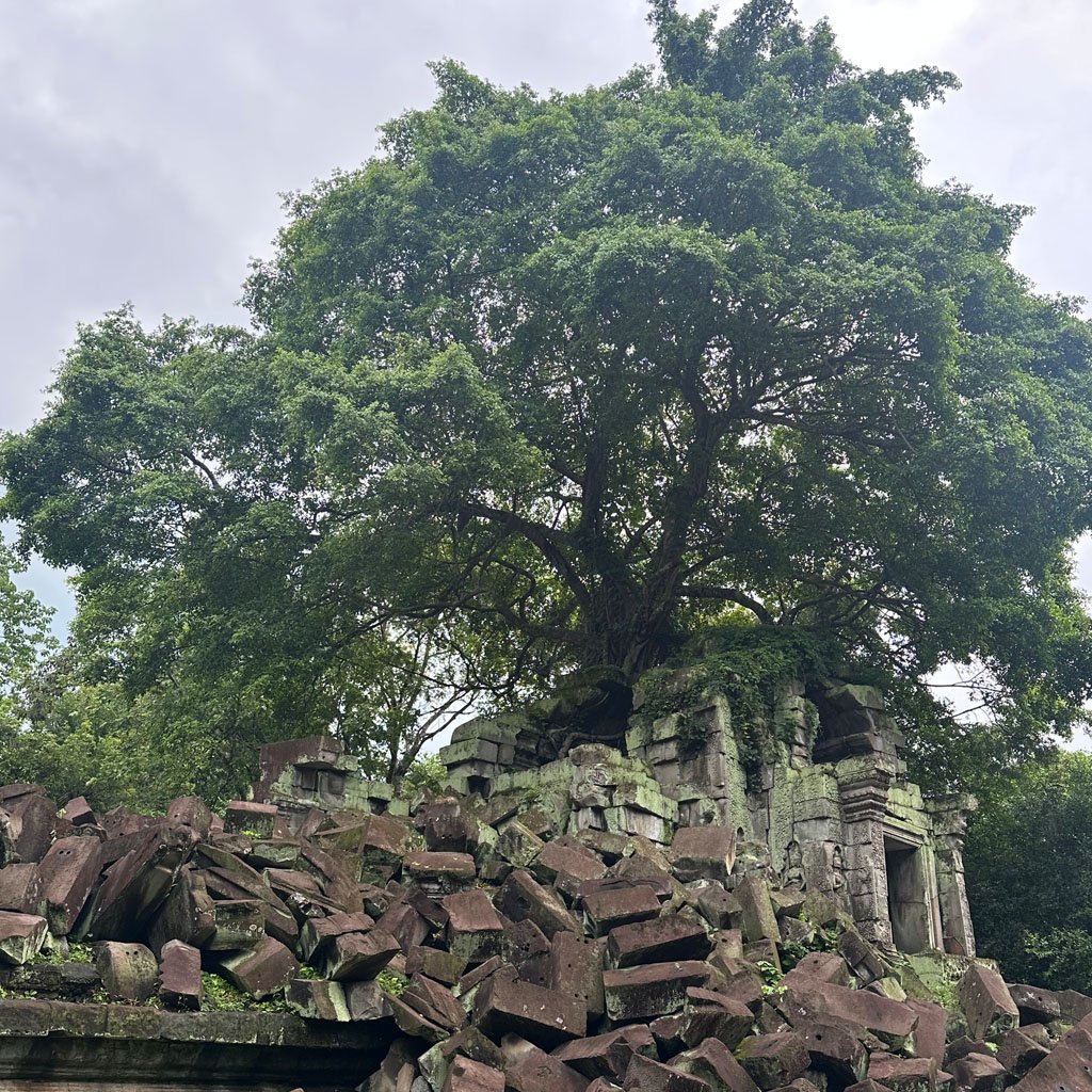 Beng Mealea from Outside