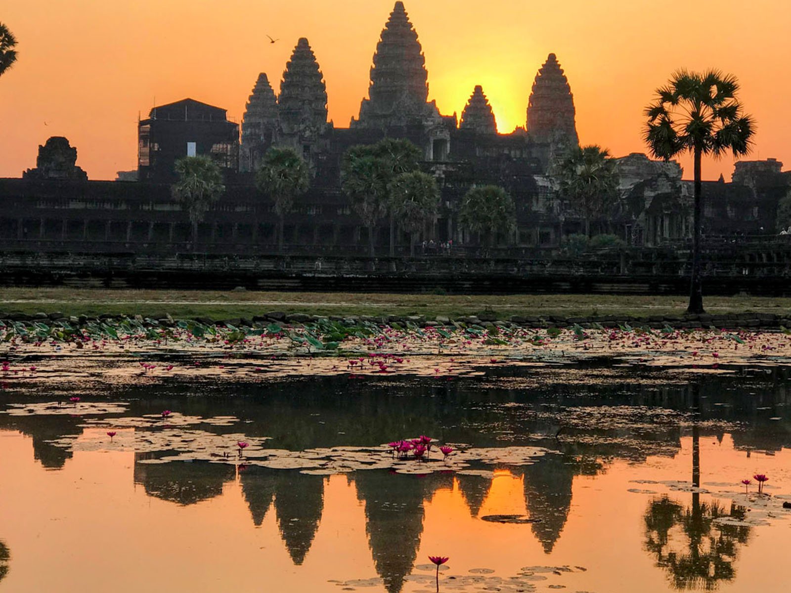 Angkor Wat Sunrise with Women Tuk Tuk