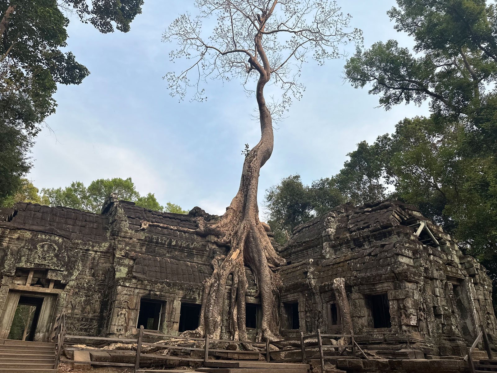 Ta Prohm Temple with Women Tuk Tuk